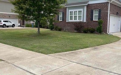 Photo of Emily L.'s yard after getting lawn care in Pelham, AL