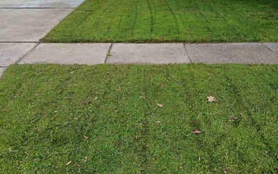 Photo of Weichao C.'s yard after getting lawn care in Worthington, OH