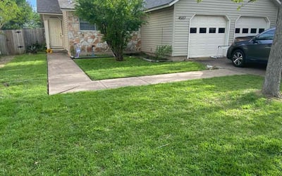 Photo of Rebecca L.'s yard after getting lawn care in Alamo, TX