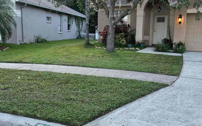 Photo of Matthew S.'s yard after getting lawn care in Arlington, WA