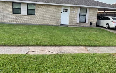 Photo of Enetra P.'s yard after getting lawn care in West Haven, CT