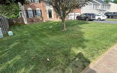 Photo of Elizabeth G.'s yard after getting lawn care in Woodbridge, VA