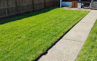 Photo of Romaine G.'s yard after getting lawn care in Washington, PA