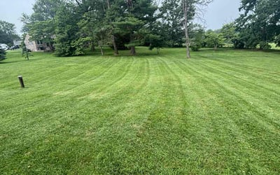 Photo of Jeff C.'s yard after getting lawn care in Richland, WA