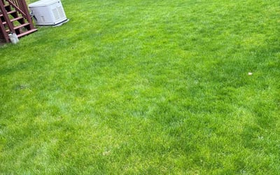 Photo of Dario M.'s yard after getting lawn care in Warwick, RI