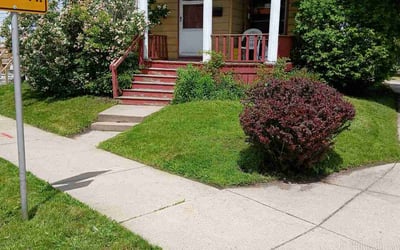 Photo of Isaiah B.'s yard after getting lawn care in Graham, WA