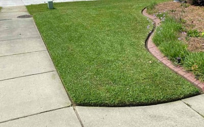 Photo of Sarah S.'s yard after getting lawn care in Columbia Heights, MN