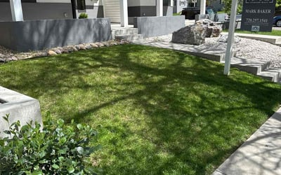 Photo of Beth M.'s yard after getting lawn care in Union, MO