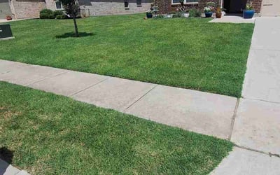 Photo of Christopher S.'s yard after getting lawn care in Sanger, CA