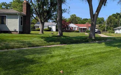 Photo of Kelly S.'s yard after getting lawn care in Latrobe, PA