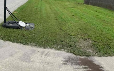 Photo of Ann C.'s yard after getting lawn care in Pace, FL