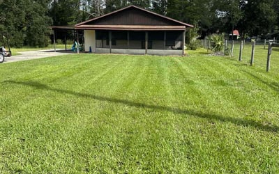 Photo of Tommy C.'s yard after getting lawn care in Belleview, FL