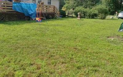 Photo of Louis D.'s yard after getting lawn care in Egg Harbor Township, NJ