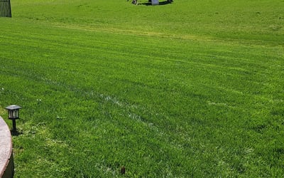Photo of James M.'s yard after getting lawn care in Avon, IN