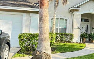 Photo of Jarret L.'s yard after getting lawn care in Orange Park, FL