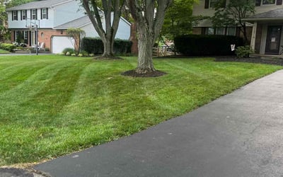 Photo of Jim_Carla A.'s yard after getting lawn care in Clinton, MD