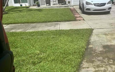 Photo of Carina O.'s yard after getting lawn care in Irving Park, IL