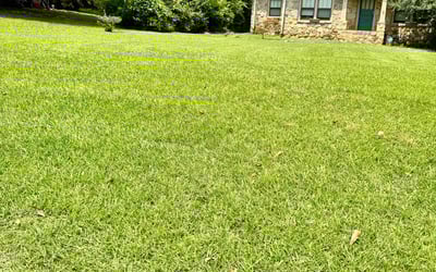 Photo of Tammy S.'s yard after getting lawn care in Travelers Rest, SC