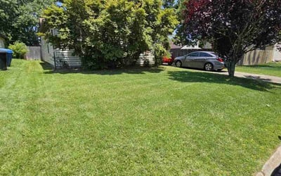Photo of Allen M.'s yard after getting lawn care in New Kensington, PA