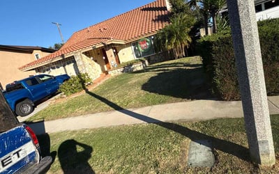 Photo of Sean B.'s yard after getting tree care in Salem, OR