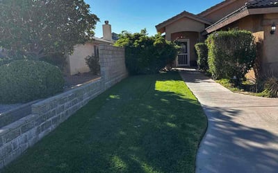 Photo of Zaida B.'s yard after getting lawn care in Big Bear Lake, CA