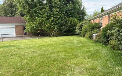 Photo of Katie F.'s yard after getting lawn care in Buffalo Grove, IL