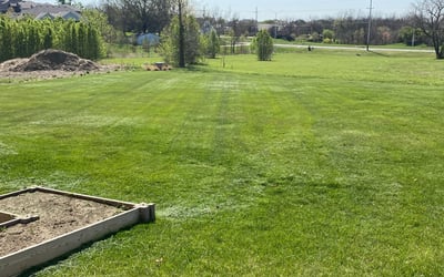 Photo of Jeffery Y.'s yard after getting lawn care in Leavenworth, KS