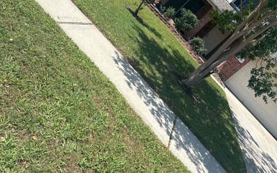 Photo of Jeffrey S.'s yard after getting lawn care in Schertz, TX