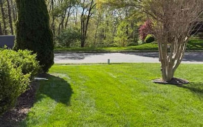 Photo of Sarah B.'s yard after getting lawn care in Vienna, VA