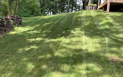 Photo of Desmond D.'s yard after getting lawn care in Rockford, MI