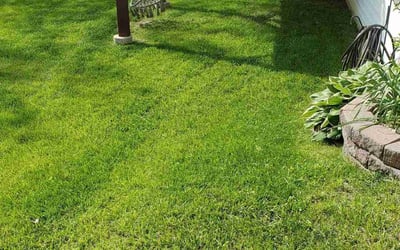 Photo of Terrance G.'s yard after getting lawn care in House Springs, MO
