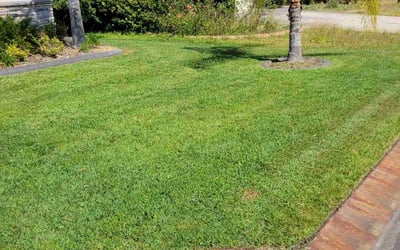 Photo of Melanie W.'s yard after getting lawn care in Glenside, PA