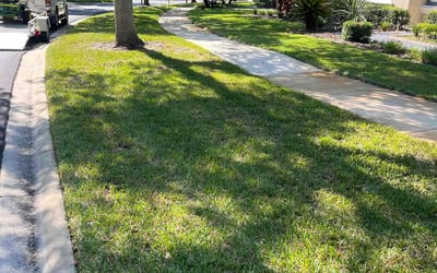 Photo of Katie M.'s yard after getting lawn care in Saint Augustine, FL