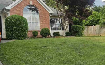 Photo of Tom S.'s yard after getting lawn care in Van Buren, AR