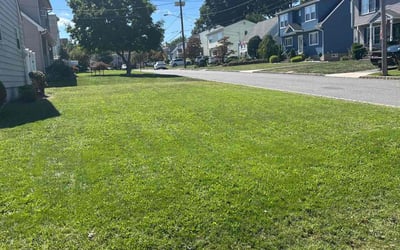 Photo of Symintha P.'s yard after getting lawn care in Belleville, NJ