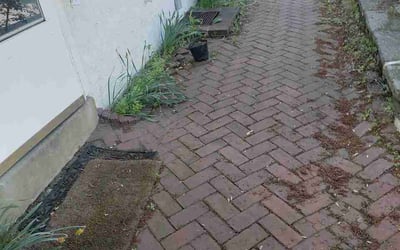 Photo of Missy S.'s yard after getting lawn care in Eastpointe, MI