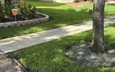 Photo of Amelia C.'s yard after getting lawn care in Cooper City, FL
