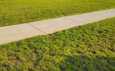 Photo of Kathy S.'s yard after getting lawn care in Fairhope, AL