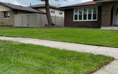 Photo of Robert W.'s yard after getting lawn care in Westminster, MD