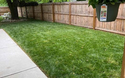 Photo of Nyemah C.'s yard after getting lawn care in New Brunswick, NJ
