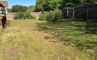 Photo of Brian Y.'s yard after getting lawn care in Spotsylvania, VA