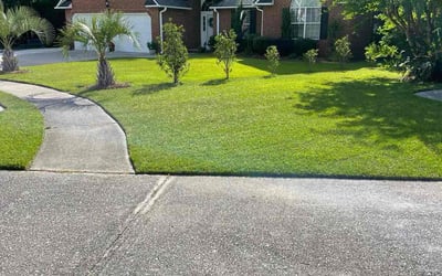Photo of Taisha B.'s yard after getting lawn care in Liberty, SC