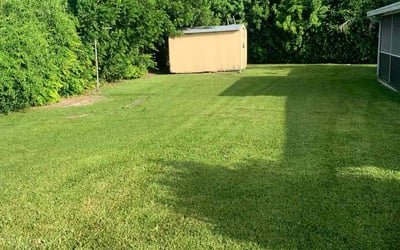 Photo of Patricia M.'s yard after getting lawn care in Cutler Bay, FL