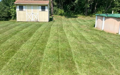 Photo of Celeste E.'s yard after getting lawn care in Ballston Lake, NY