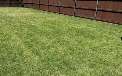 Photo of Tyler B.'s yard after getting lawn care in Bethany, OK