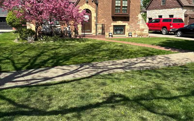 Photo of Mary W.'s yard after getting lawn care in Riverside, IL
