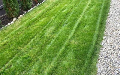 Photo of Rebecca O.'s yard after getting lawn care in Lutherville Timonium, MD