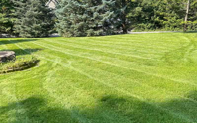 Photo of Tiffany D.'s yard after getting lawn care in Oneida, NY