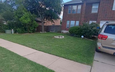 Photo of Carol M.'s yard after getting lawn care in Springfield, IL