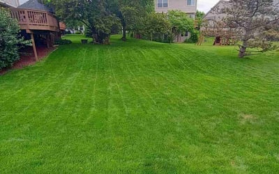 Photo of Kristiann K.'s yard after getting lawn care in Ann Arbor, MI